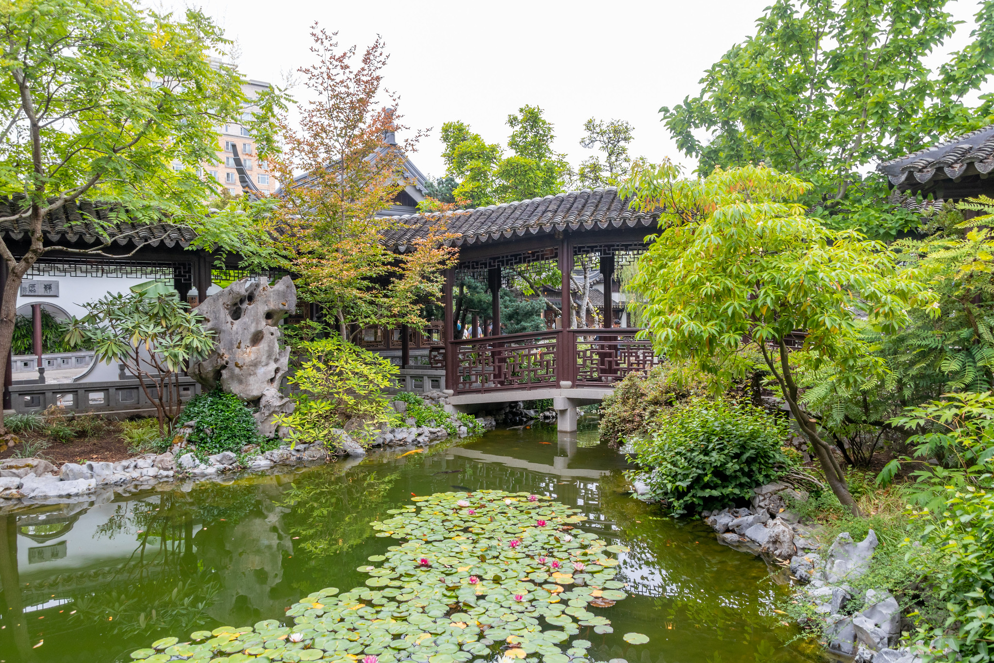 Lan Su Chinese Garden In Portland August 7 2019 Baltimore